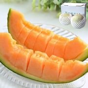 ��������� 2��3�� �������� ��롦���ܸ����濴 �������󥷡�����ԥ���åɡ���Υ󡦥ޥꥢ�������� Ϫ�Ϻ��� �ܤ�̣�襤���Ϥ���