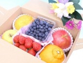 �ե롼�ĥ��ե� ��ʪ�ͤ��碌 4��6������ £���� ����Ȣ���� ������Ѥ��ե롼�ĥ��å� ��Ź�����νܤβ�ʪ���Ϥ���