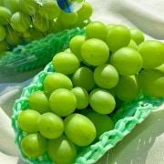 㥤ޥå ֤ɤ 23˼ 1.5kg ʤƺ ˼  Ȣ £ λϤǰƤܤ̣TVǤιγ֥ɥ