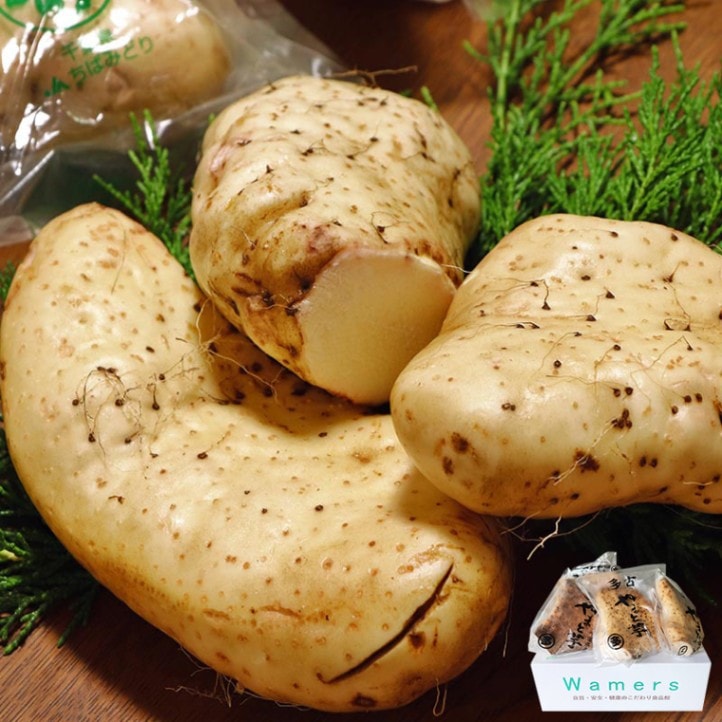 ° ޤȤ ո 2kg 512  Ź첡ʡ ĹĶ밵ŪǴ Ȥ䤴Ӥ˺Ŭ