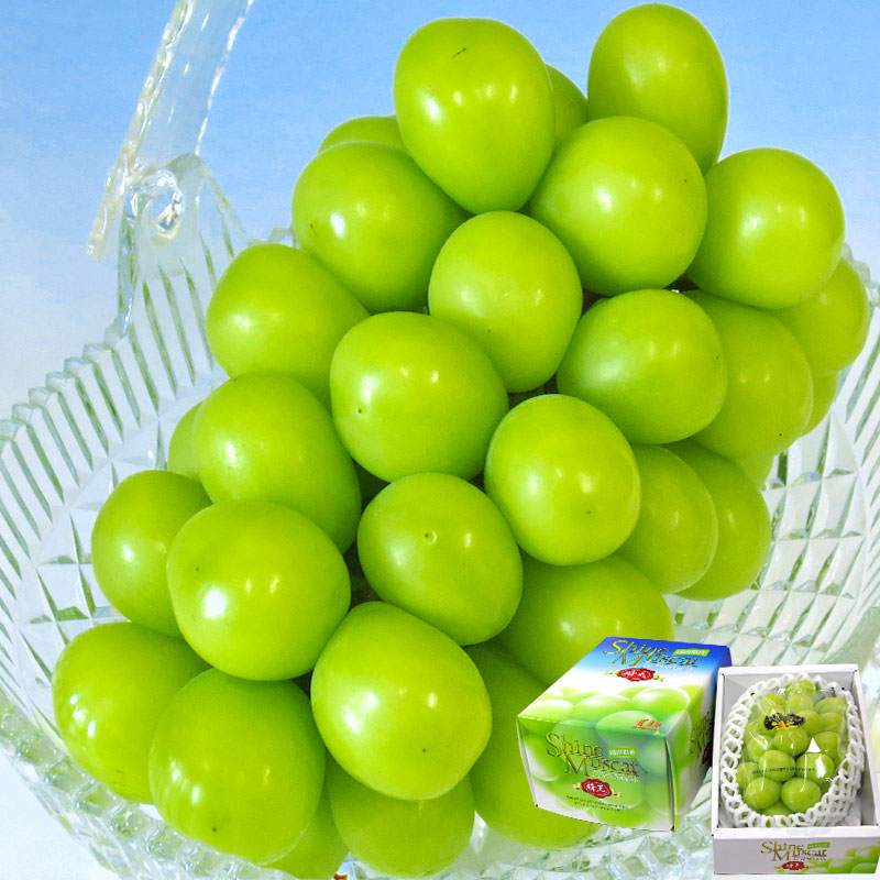 ���� �Ϥ줪�� ��1kg ����1˼���� �������㥤��ޥ����å� ��̵����֤ɤ� �������� £������ �ǹ����Υ��ե���ƺ���餴�ȿ��٤�ǻ���ʴŤ����û��ʥե롼��
