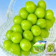 ���� �Ϥ줪�� ��1kg ����1˼���� �������㥤��ޥ����å� ��̵����֤ɤ� �������� £������ �ǹ����Υ��ե���ƺ���餴�ȿ��٤�ǻ���ʴŤ����û��ʥե롼��