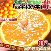 ľ ¤μ ߤ 10kg  ɲ  ĿȻ ܾǰƤ̪ΥޥȺ