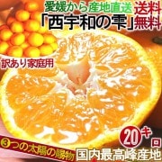 ����ľ�� �����¤μ� �����ߤ��� ��20kg ���������� ��ɲ���� �������� �Ŀ����Ȼ� �ܾ�ǰ�Ƥ�������̪�����������Υޥ�������Ⱥ���