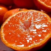 ľ ˤ ߤ 10kg S3S ²λ ̸ ̪νвܰ졪²λǰƤȴ٤̣襤