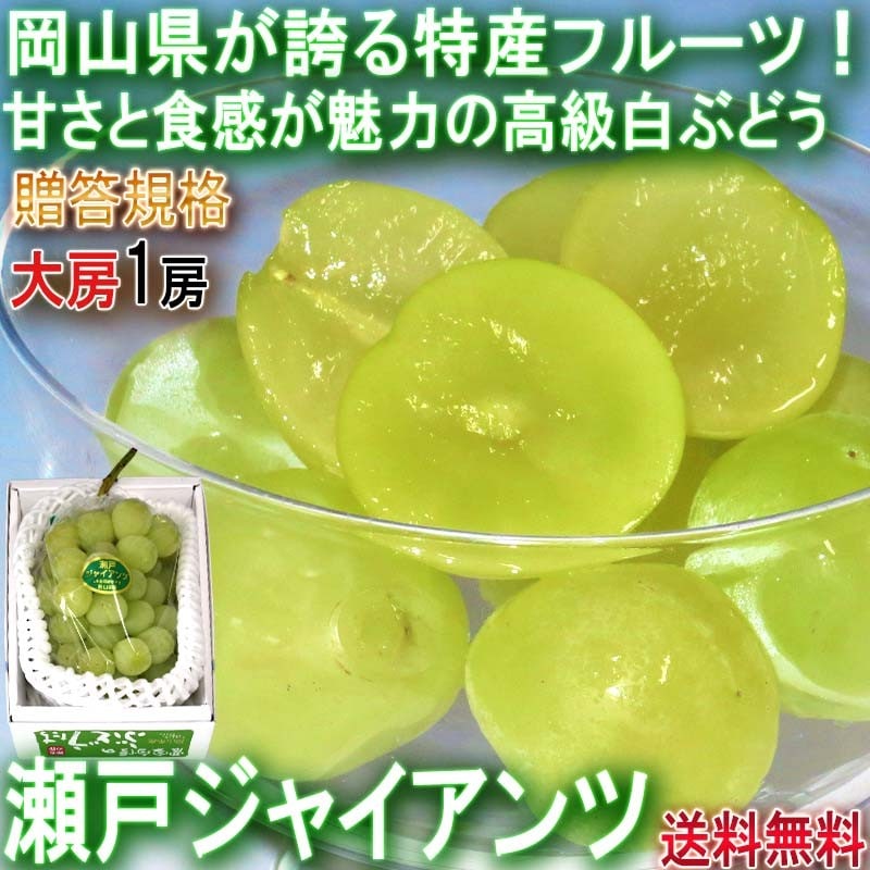 ͥ㥤 ֤ɤ 700g  £ JA ˼ 餴ȿ٤ƺѥäȤȴŤ̥ϤΥեȥե롼 ֥ɥ