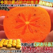 ��̵���� ��3.75kg 12��24������ ���ɡ��²λ������濴 �������� �Ť�˭���ʽܤΥե롼�ġ������ʲ����ѤΥ���