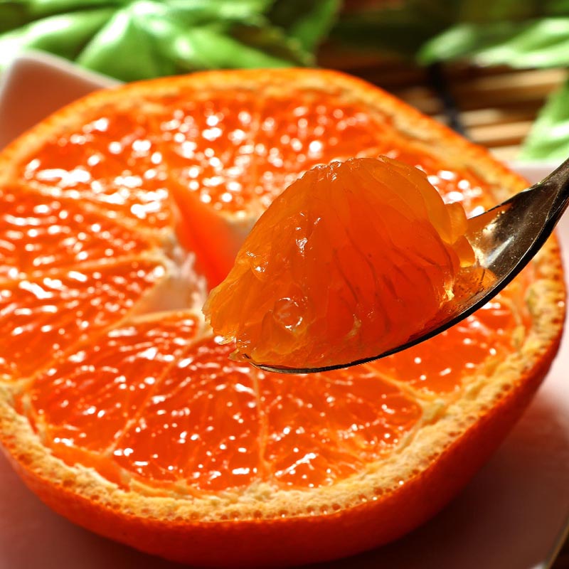 ����ľ�� �ߤ��� ��ɲ 10kg ���¤����� ���̸��� S����S������ ���� �����ߥ��� :̪�� 3�Ĥ����� �Ȥꤿ�ƴ���̪��