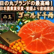 ľ ξ δݤߤ 5kg SL £Ŭ ɲ JAˤﶦ ǹʼ̣襤ѶȢͤΥ֥̪