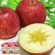 ̪����� ����ե��Ӹ� ��2.5kg 5��9�� ��긩�� �������� ������ ǻ����̣��̪����β�������̣�����Ż�δ����