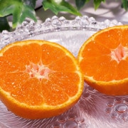 ľ ¼ߤ 濴 10kg M2L ²λĮ ͭĥߥΥȥåץ֥ɡṇ̀ؤǻʴŤ̪