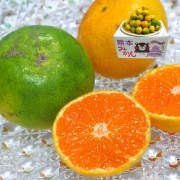 ˤޤ̪ ꡼󲹽ߤ 10kg S3S ̸ ܸ ĿȻ濴 ߥϡܻФβ̼¤˭٤ʲ֤̽䤫ʴŤ