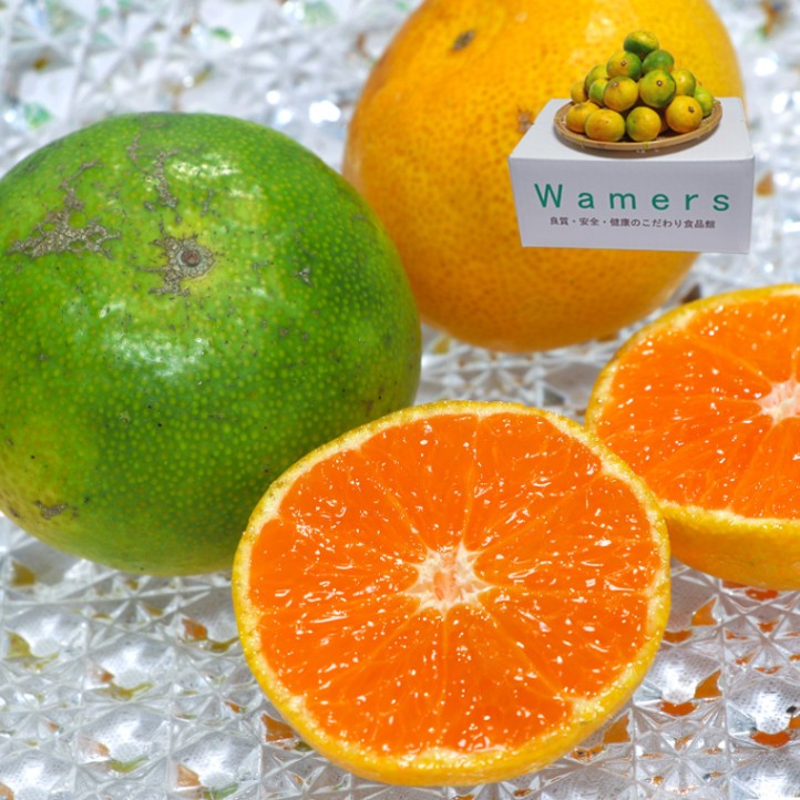 �ˤޤ�̪�� ���꡼�󲹽��ߤ��� ��3kg S��3S������ ���̸��� ���ܸ��� �Ŀ����Ȼ��濴 �������ߥ�������ϡ����ܻ����Фβ̼¤�˭�٤ʲ̽����֤䤫�ʴŤ�