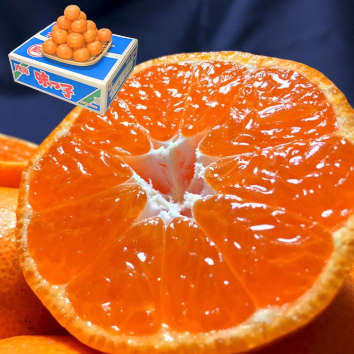 ̣�û� �����ߤ��� ��5kg Ĺ�긩�� £������ JA�ʤ��������� �����󥵡������� ����13���ݾڡ��������Υ��ե�̪�����ȥåץ֥��ɤι��ե롼��