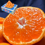 ̣û ߤ 5kg Ĺ긩 £ JAʤ 󥵡 13ݾڡΥե̪ȥåץ֥ɤιե롼