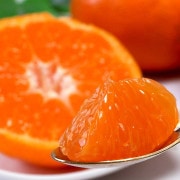 ľ ̴ͤ ߤ 3kg ML ý ɲ £ ɲ绺ϡȬȨͤľǹ󥯤θե̪