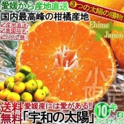 ����ľ�� ���¤����� �������ߤ��� ��10kg 3S��S������ ��ɲ���� ���� �����ߥ��� 3�Ĥ����ۥޥ�������Ⱥ���!!