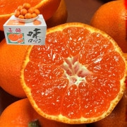 ̣ޥ ߤ 5kg SL Ĺ긩 11ݾ JAĹꤻ ꡦʤݤȴ̣襤٥󥵡̤Υ֥̪