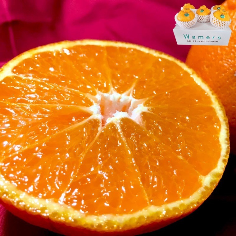 �ǥ��ݥ� ����̤� 4��6�� ���ܸ��� £������ ����Ȣ���� JA���ޤ�� �����󥵡����̡�����13�ٰʾ���� �����ݾڤǳΤ���̣������Ŭ�Ϥǰ�Ƥ��ܾ����̣����