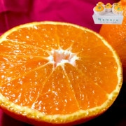 ǥݥ ̤ 46 ܸ £ Ȣ JAޤ 󥵡̡13ٰʾ ݾڤǳΤ̣ŬϤǰƤܾ̣