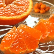 ���β� ����̤� ��2kg 6��12�� ���ܸ��� £������ JA���ܷк�Ϣ ǻ���ʴŤ������褤��̣�ο͵��ʼ�ܾ�ǰ�Ƥ�ȴ����̣