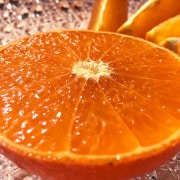 ľ ŷ𥪥 ޤ 5kg ɲ £ ̽˭٤ǤȤ뿩ǻʴŤοʥեȥե롼