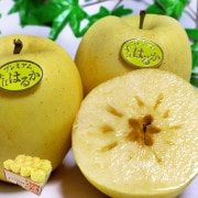 Ϥ뤫 ̪겫Ӹ 3kg 812 ý  £ JA¼ ⤤٤Ȼ̣ξʤؤӸ黺Ϥǰạ̈襤ȴΥ