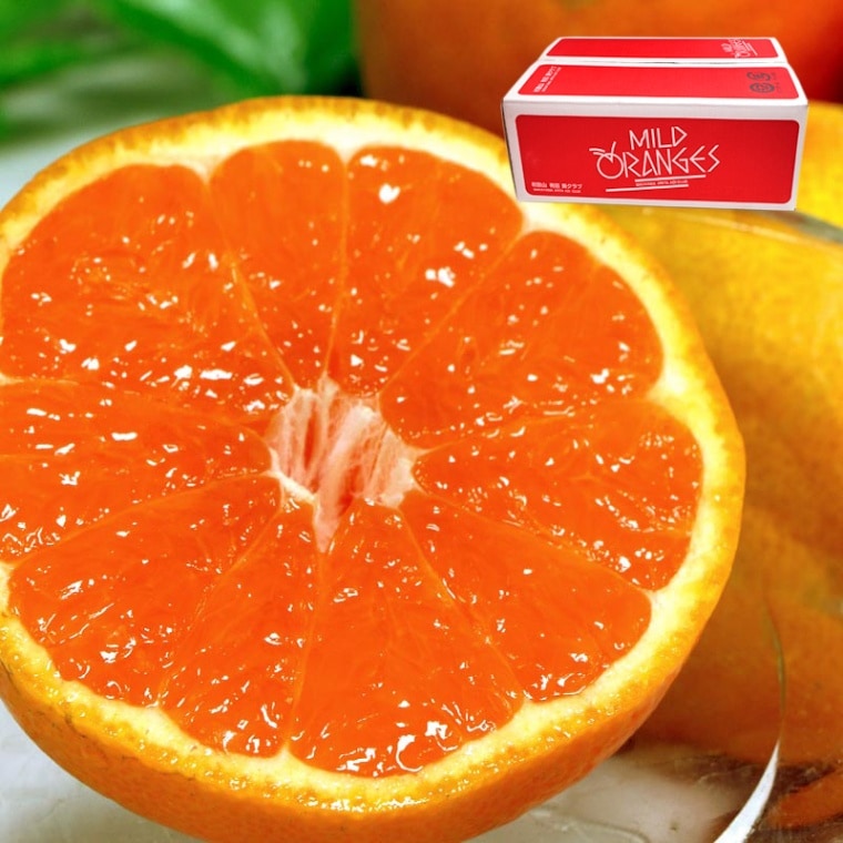 ����ͭ�Ĥߤ��� ��5kg M��2L������ �²λ����� ����������� ���ʼ�ι����Ϥߤ������ȴ��̪���绺�ϡ�ͭ�Ĥ��ؤ�ǹ�����̣�襤���Ϥ�