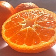 �������ߤ��� ��̥ߥ��� ��8kg 2L��4L������ �Ų����� £������ �Ŀ����Ȼ� ��¢���������褤��̣��ȴ����̣����Ź�͵��Υ֥���̪��