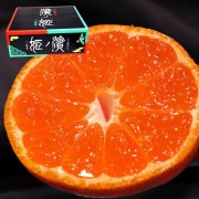 ɱ ץߥదɲߤ 5kg £ʡýʸ JAˤ ȬȨͶ񤬸ؤǹ̪13ݾڤιե롼