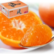 ľ ߤ  5kg M2L ɲ JAˤ ŷռޤ֥ɡ12ݾڤȴ̣