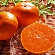 ����ľ�� ���Ȥ� ��ɲ���� ��5kg M��4L������ ������ ����Ȣ���� ������ Ϫ�Ϻ��� �Ŀ����� �����������Բġ����礢��