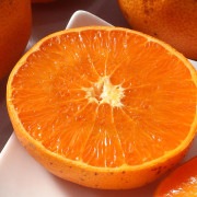 ����ľ�� ���Ȥ� ������ ��5kg S��L������ ��ɲ���� �����¡���ɲ����ʤɻ��ϸ���������ȴ���ι�鴻�̤򥵥������硦�������ò��Ǥ��Ϥ�