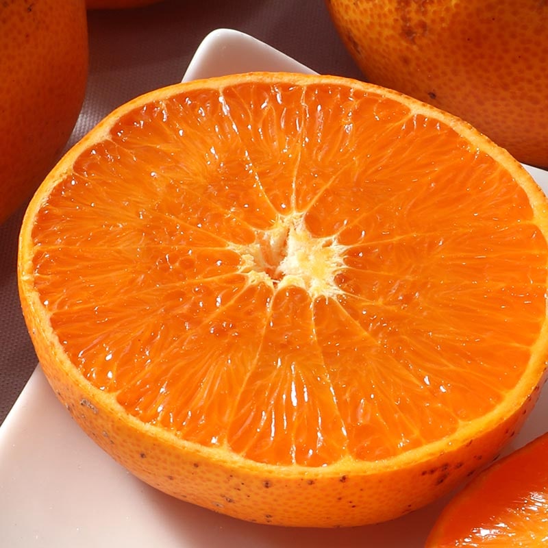 ����ľ�� ���Ȥ� ���³� ������ ��5kg L��4L������ ��ɲ���� �����¡���ɲ����ʤɻ��ϸ���������ȴ���ι�鴻�̤򥵥������硦�������ò��Ǥ��Ϥ�