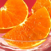 ����ľ�� ��ʿ ����ڤ� ��5kg L��6L������ ��ɲ���� ������ Ϫ�Ϻ��� ����Ȣ���� ��ɲ���ꥸ�ʥ�ο��ʼ����濴�������ѵ���