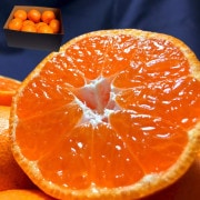 ̣û ߤ 2kg Ĺ긩 £ JAʤ 󥵡 13ݾڡΥե̪ȥåץ֥ɤιե롼