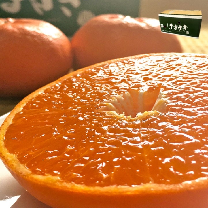 �Ϥޤ��� ��� ���츩�� ��5kg M��4L������ ���� ����Ȣ���� JA����� ������ ���츩�տȤΥ��󥴡��� ��¬����14�١�