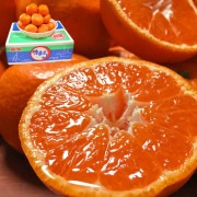 ̣�ޤ�̪�� ��5kg ������������ Ĺ�긩�� �������� JA�ʤ��������� ����12���ݾڤΥ֥��ɤߤ��󡪤����䤹�������ѵ���