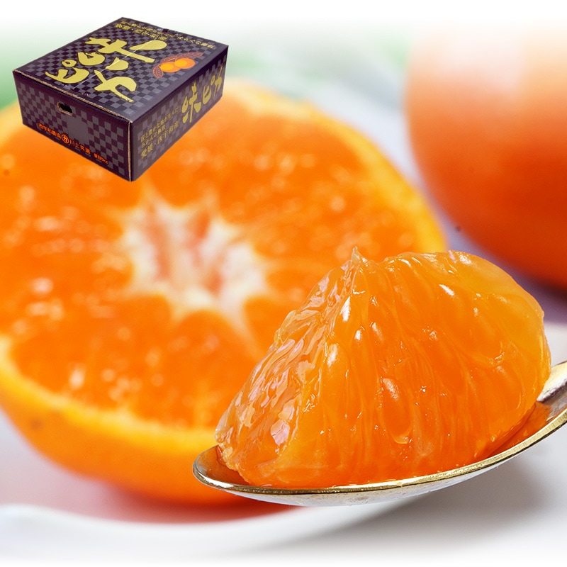 ����ľ�� ̣�ԥ�̪�� ���崰�Ϥߤ��� ��5kg S��L������ ��ɲ���� £�����ʡ��ý��� JA�ˤ����� ŷ���ռ��ޤ���嶦�񤬸ؤ�ȥåץ֥��ɡ�