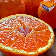 ǥݥ ܸ 5kg 1015 ̸ £ JAޤ 󥵡̡13ٰʾ ̤β̼¤ݾڤȴ̣