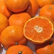 ̣ޥ ߤ 5kg SL Ĺ긩 12ݾ JAĹꤻ ꡦʤݤȴ̣襤٥󥵡̤Υ֥̪