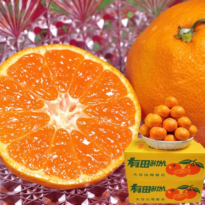 괰 ͭĤߤ ܴ 10kg ²λ  ̪ ¬14Ķạ̊́ͭϰθĿȤݤȴ̣