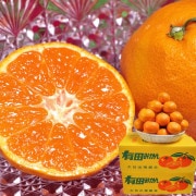 괰 ͭĤߤ ܴ 10kg ²λ  ̪ ¬14Ķạ̊́ͭϰθĿȤݤȴ̣