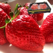 �������٥꡼ ��γ������ ��600g ���ڸ��� £���� JA������ ���塼�����ʲ�����ǻ����̣���������եȺ�Ŭ�����ڤ����ޤ줿���ʼ�