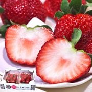 Ȥ  280g2ѥå ڸ £ JA ܰڸܾǰƤ˭ʴŤߤ䤫ֿΥեȥե롼