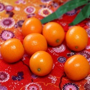 ��ɱ �Ϥ�Ҥ� ���Ϥ��󤫤� ��2kg L��3L������ �����縩�� ���ʵ��� JA��Ĥ� £���� �������ݤǰ�Ƥ������٤ζⴻ��