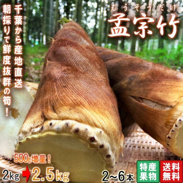 ����ľ�� �ҽ�� �ݤλ� ��2.5kg 2��6�� ���ո��� ���ݴ��������Ի��ѤΤ����Τ���ī���֤Ǽ��Ϥ��������� 䣤��Ƥ̤�Ʊ����ľ�� ���ݤλ�