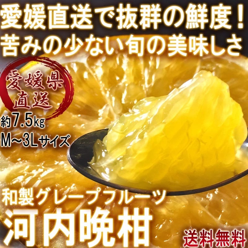 ����ľ�� �����մ� ��7.5kg M��3L������ ��ɲ���� £������ ��ߤξ��ʤ��������졼�ץե롼�� �ߤ�����ܾ�ǰ�Ƥ�ȴ����̣������