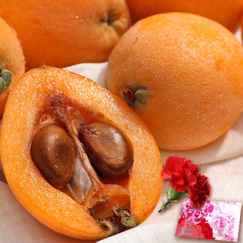 �٤�Ƥ����� ��������ե� �������� �����Ӥ� 9��12������ Ĺ�긩�� �������� £���� �̽����뿷���ʥե롼�ġ���å����������ɡ������͡������Ʊ��