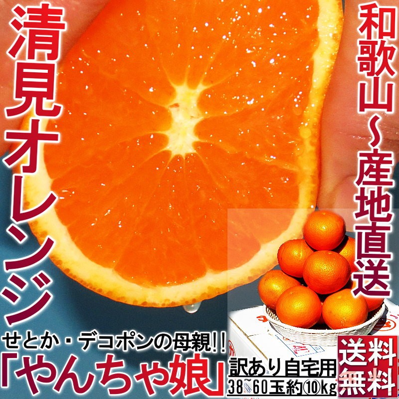 ����ľ�� ������̼ ��������� ��10kg 38~60�� �²λ����� �������� �����ѤΤ����ʥ��󥴡��롪�ߤ�������ϡ��²λ����ľ��